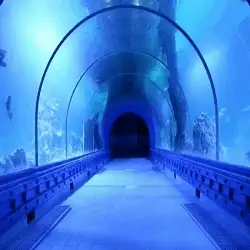 Hurghada Grand Aquarium