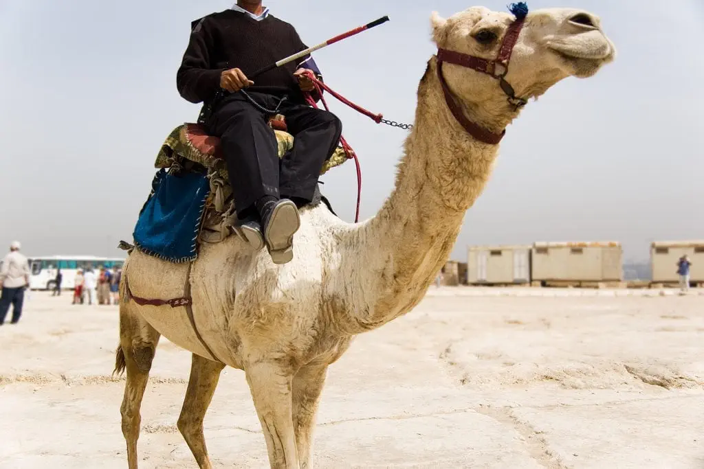 Tourism Police is very active in tourist Areas in Egypt