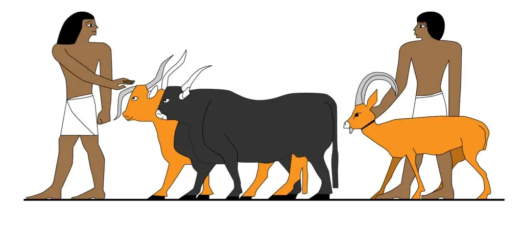 Farmers and their animals in Ancient Egypt