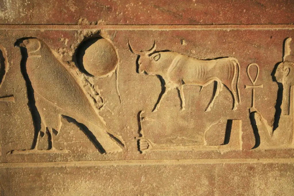 Carvings on the Walls of Luxor Temple - Egypt